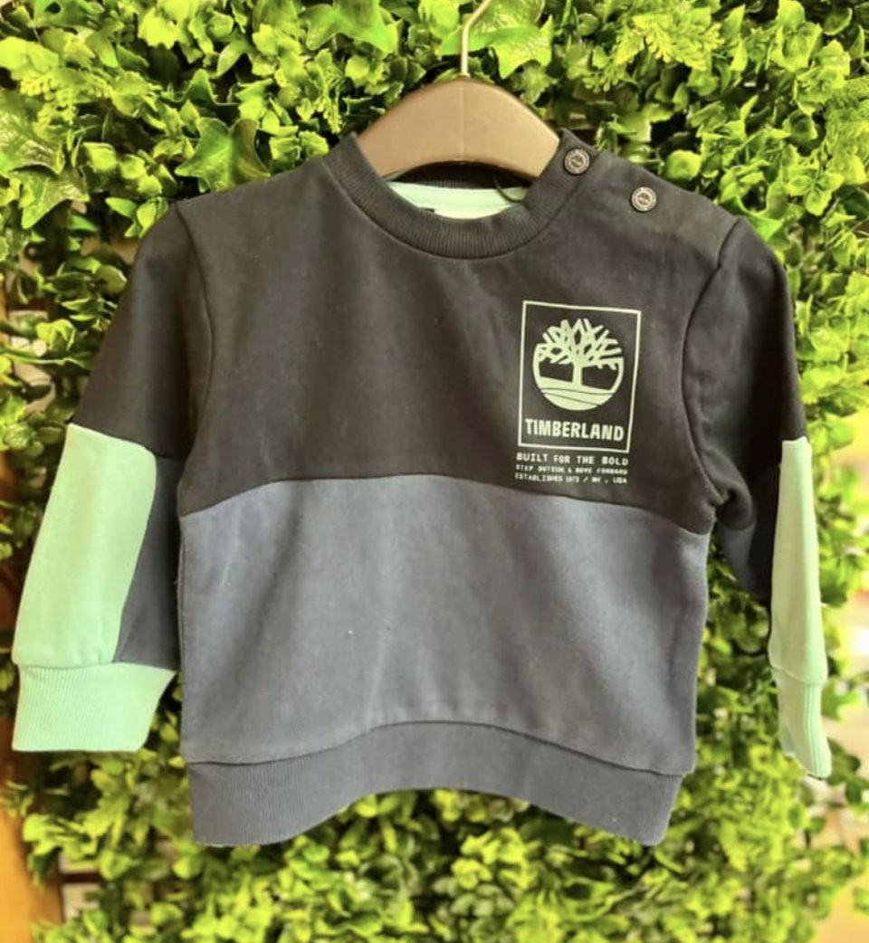 TIMBERLAND T60113  TODDLER BOY SWEATSHIRT TRI COLOUR  BRIGHT TURQ/BLUE/NAVY 